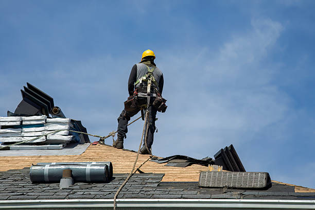 Professional Storm Damage Roof Repair technician working in Stanley, VA